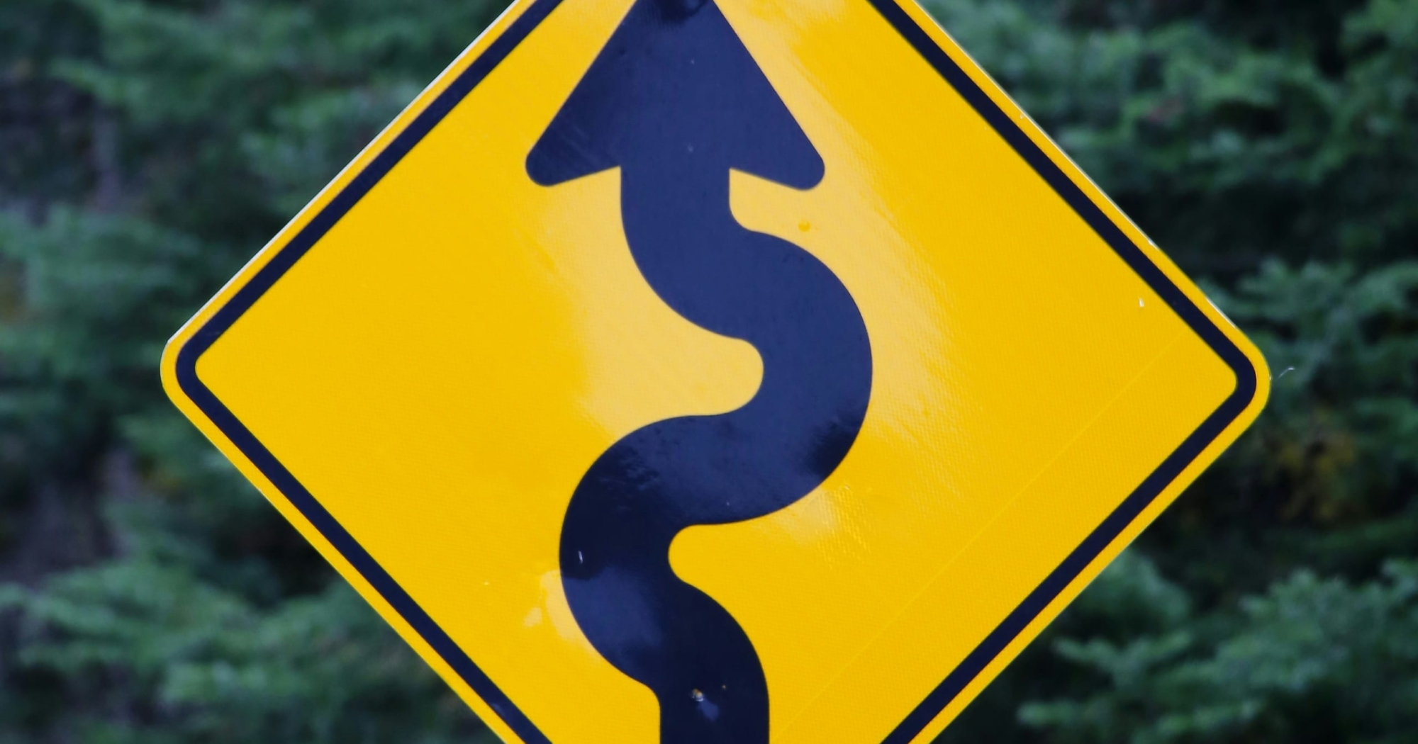 A yellow diamond-shaped road sign with a black squiggly arrow indicating a winding road ahead. Green trees are visible in the blurred background.
